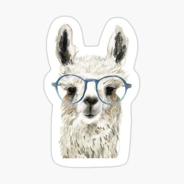 Llama Merch & Gifts for Sale