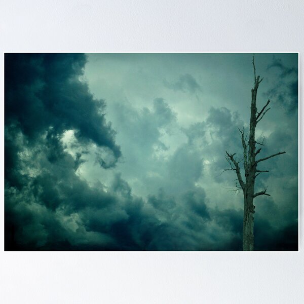 My Roots Are Firmly Grounded Poster