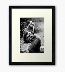 OnePhotoPerDay Series: 201 by L. Framed Print