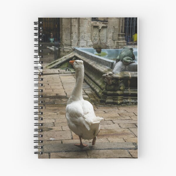 Item preview, goose designed and sold by paolo amiotti.
