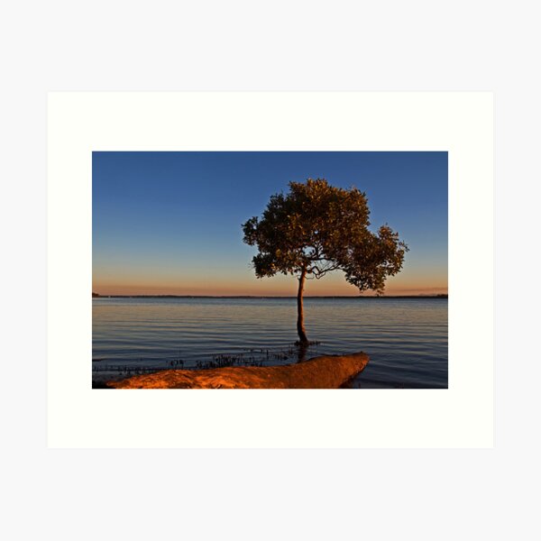 Solitary Art Print
