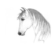 Flat,220x200,075,t.u2