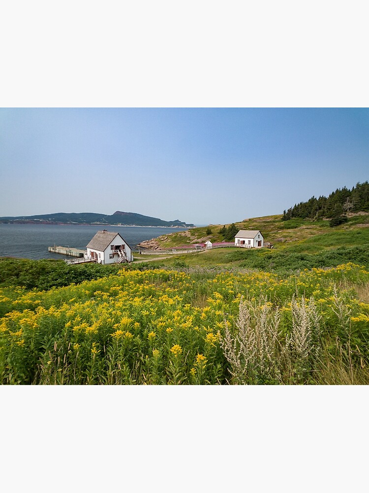 "Small houses on Bonaventure Island. Gaspésie, Québec, Canada. " Poster