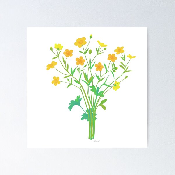 Buttercups Woodland Wildflowers Poster