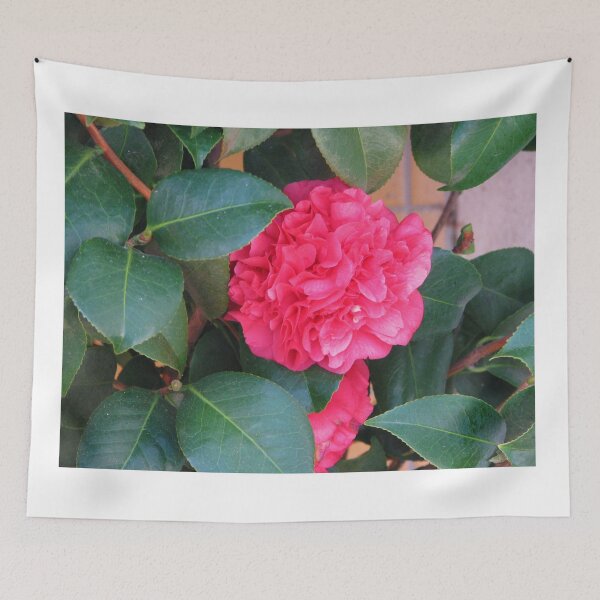 Item preview, Pink ruffles designed and sold by MChabalaRussell.