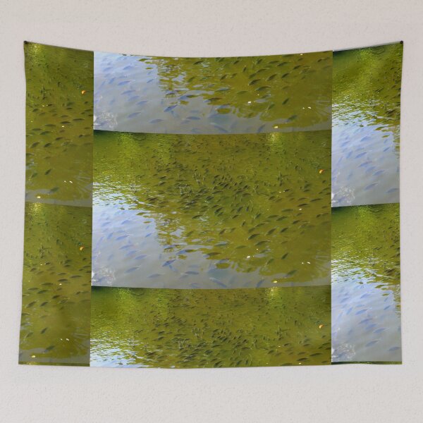 Item preview, Here Fishy Fish - Color Collection designed and sold by Totallyalive.
