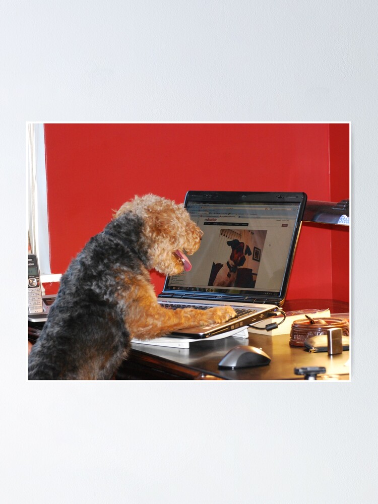 "Tucker tries to send a Bubblemail to Codi" Poster for Sale by barnsis