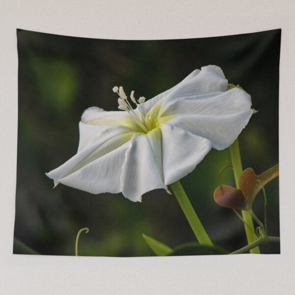 Item preview, Moonflower designed and sold by Bob Hardy.