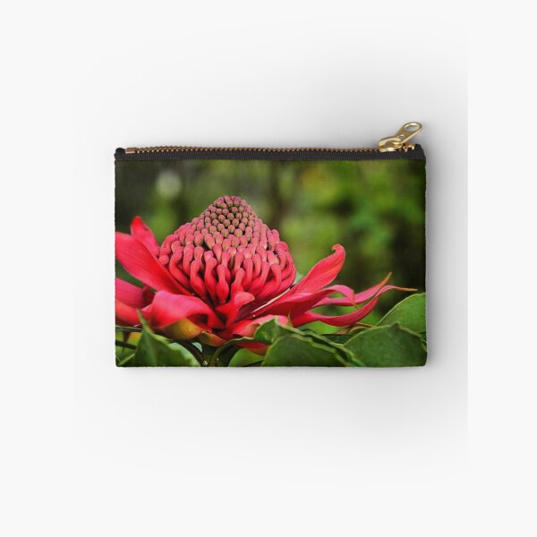 Item preview, Waratah - A Symbol of Australia in Spring designed and sold by Bev Woodman.