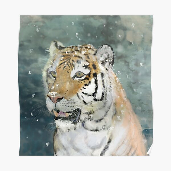 Tigre des neiges by sophiescolors Poster