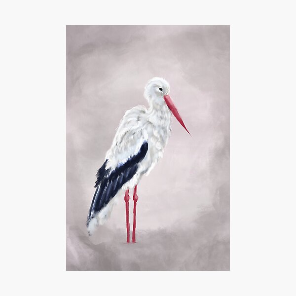 cigogne by sophiescolors Impression photo