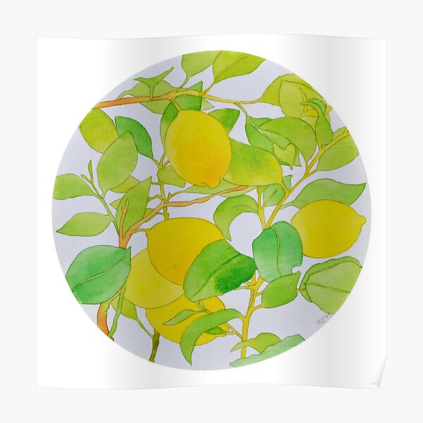 Fresh Crop - Lemons Poster