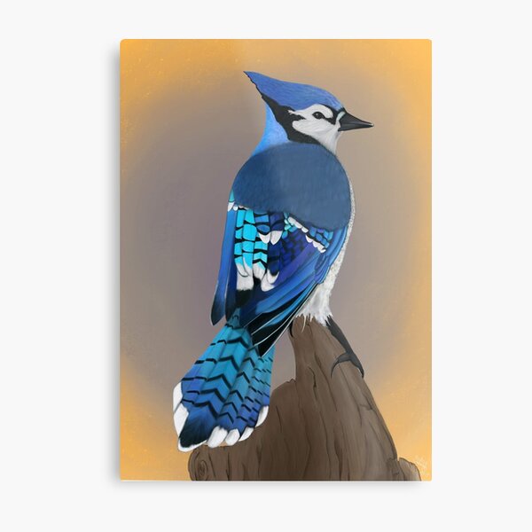 Item preview, Bluejay  designed and sold by satiebird.
