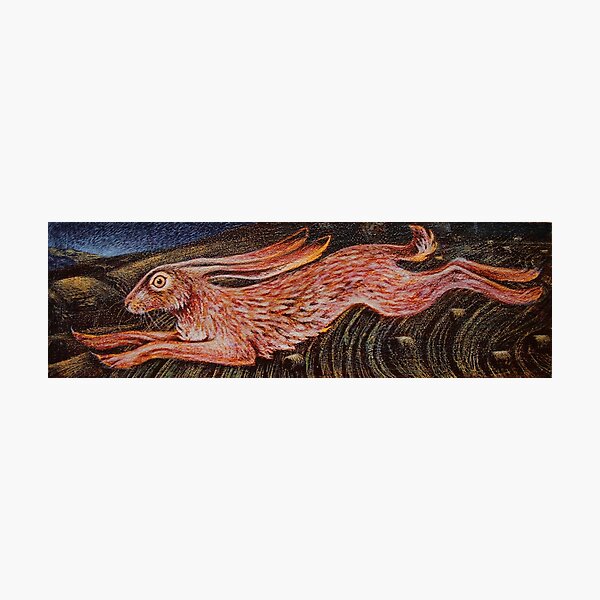 Running Hare by Lucy Everitt Photographic Print