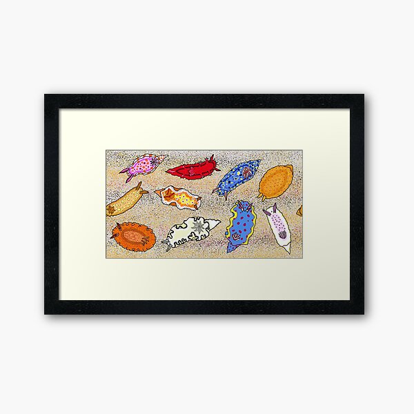 Sea slugs of Lake Macquarie region Framed Art Print