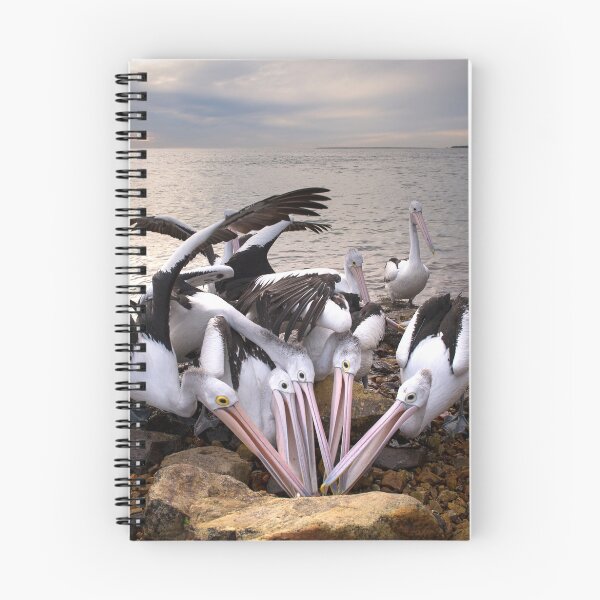 Item preview, Seafood Feast - Australian Pelicans designed and sold by Barbara Burkhardt.