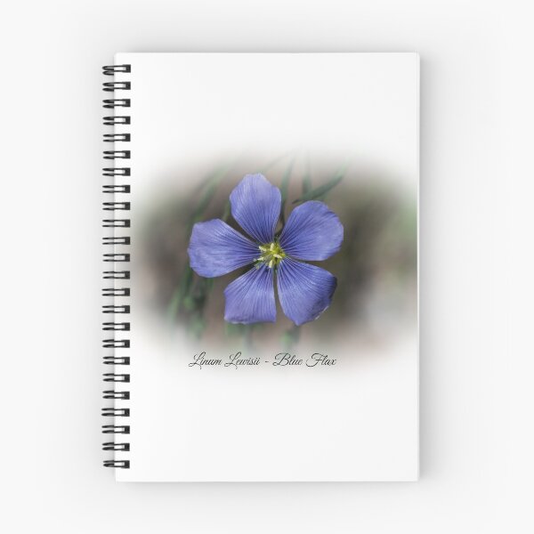 Item preview, Linum Lewisii - Blue Flax designed and sold by Len Bomba.