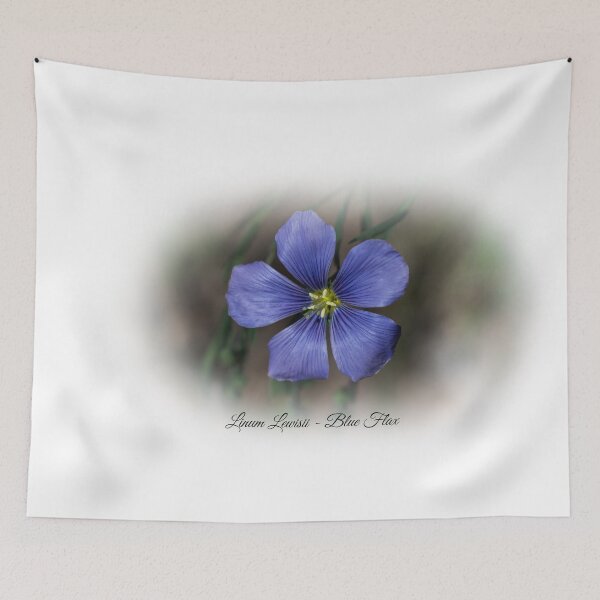 Item preview, Linum Lewisii - Blue Flax designed and sold by Len Bomba.