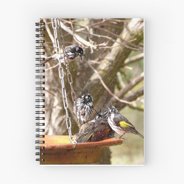 Item preview, HURRY UP AND STOP SQUAWKING! New Holland Honeyeaters love to bathe. Adelaide Hills,  designed and sold by RitaBlom.