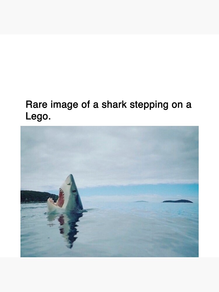 lego shark
