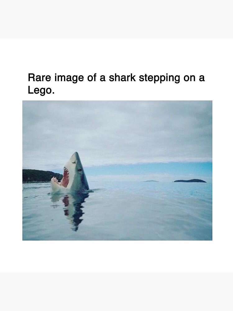 shark stepping on a lego\