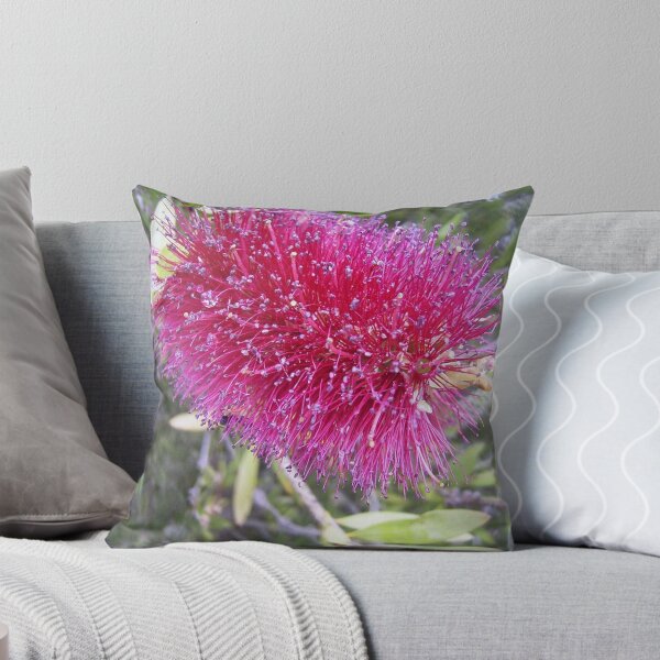 Item preview, Callistemon designed and sold by Caroline Everett.
