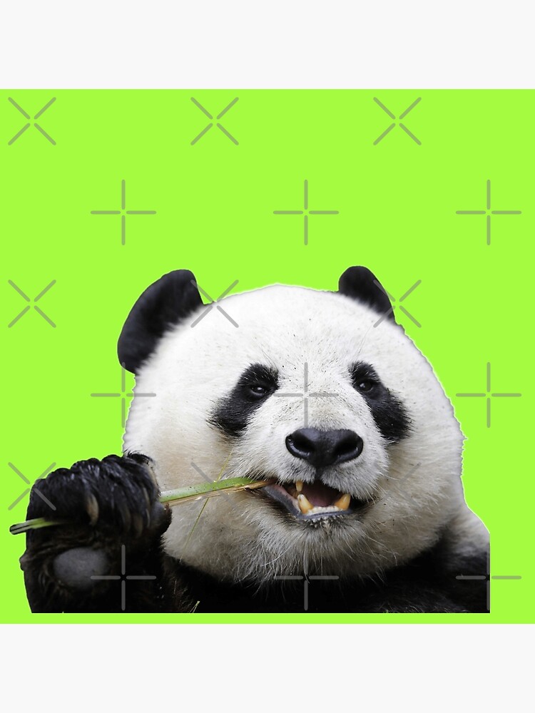 Giant Panda Eating Bamboo Throw Pillow