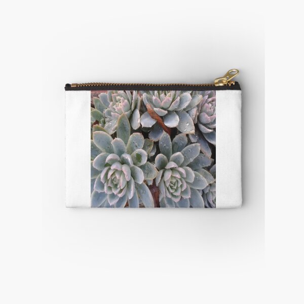 Item preview, Succulent designed and sold by Caroline Everett.
