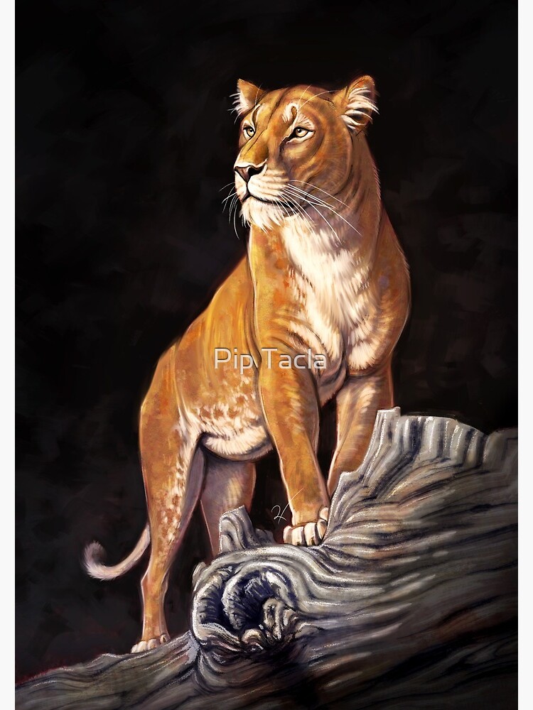 Thumbnail 3 of 3, Spiral Notebook, Golden Lioness designed and sold by Pip Tacla.