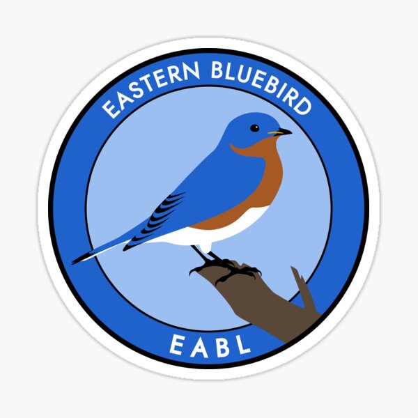 Eastern Bluebird Sticker