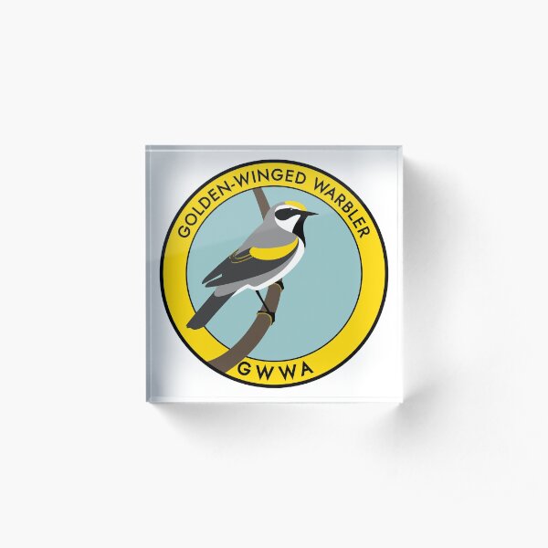 Golden-winged Warbler Acrylic Block