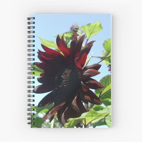 Aperçu de l'œuvre black sunflowers 2015 créée et vendue par Maureen Zaharie.