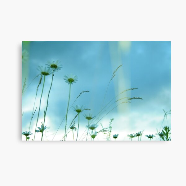 Flower Power Canvas Print