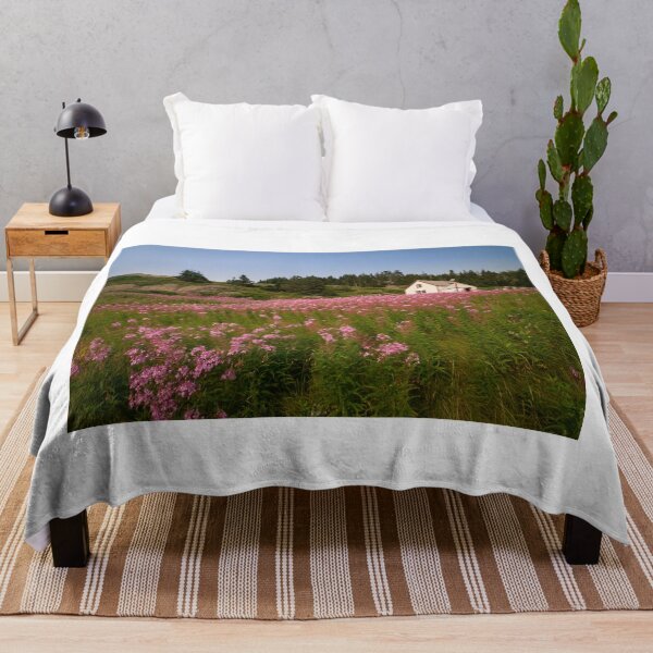 Item preview, Small house on Bonaventure Island. Gaspésie, Québec, Canada.  designed and sold by jonathankemp.