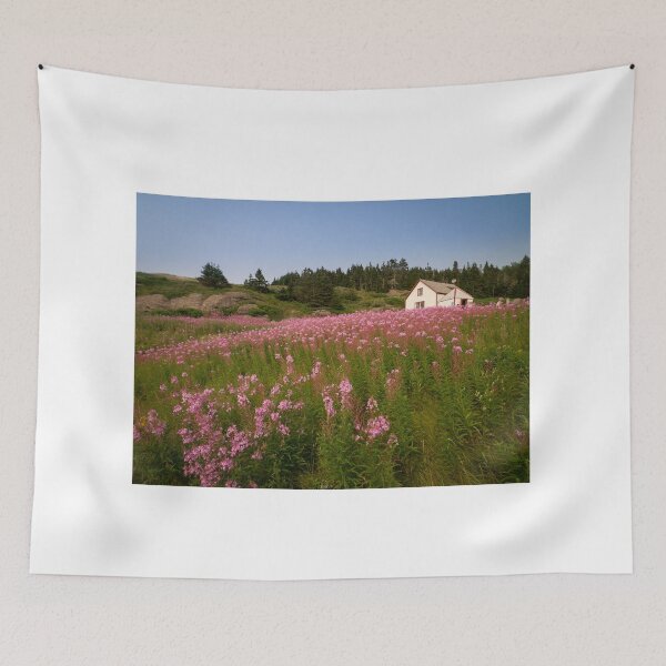 Item preview, Small house on Bonaventure Island. Gaspésie, Québec, Canada.  designed and sold by jonathankemp.