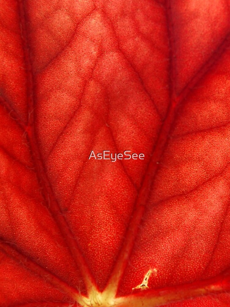 Under Shades of Red by AsEyeSee