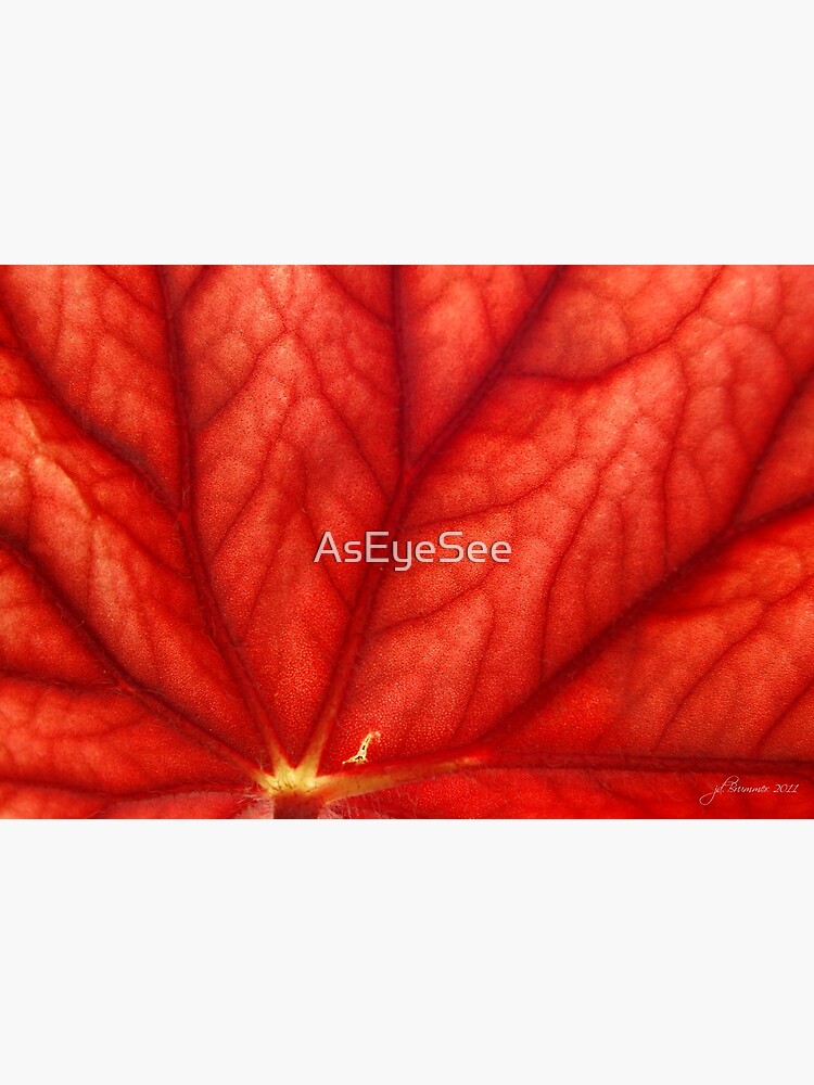 Under Shades of Red by AsEyeSee