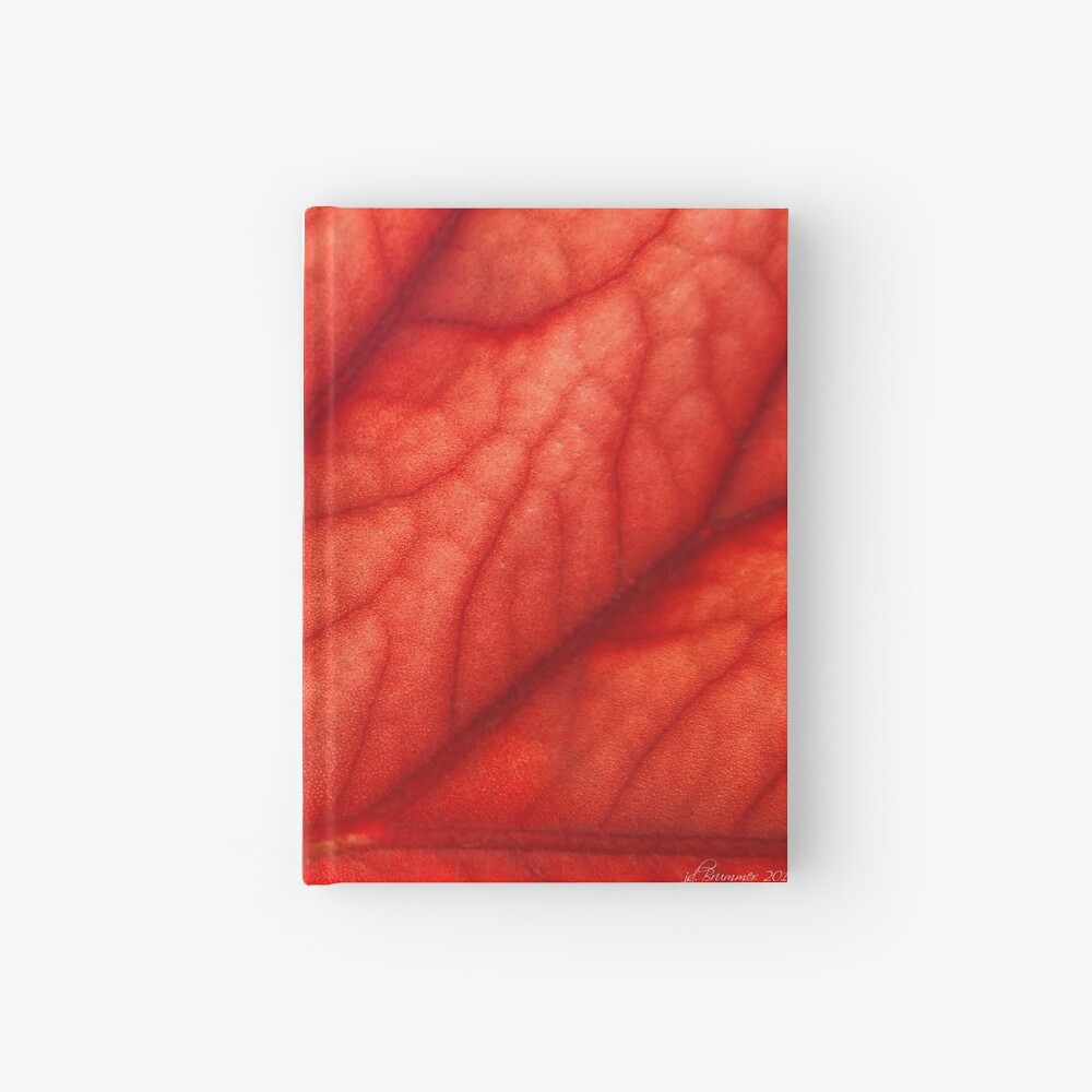 Under Shades of Red Hardcover Journal