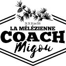 «entrenador migou negro» de alexMo