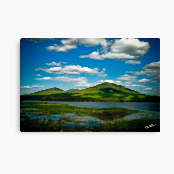 Spring in the Bigelow Mountains Canvas Print