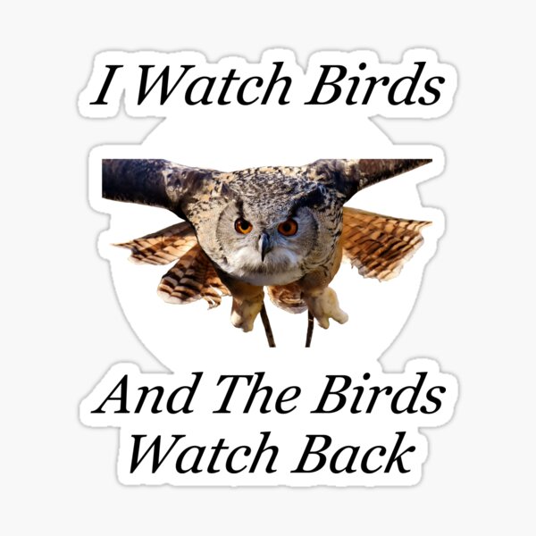 Funny Bird Watching Design With Flying Owl Sticker