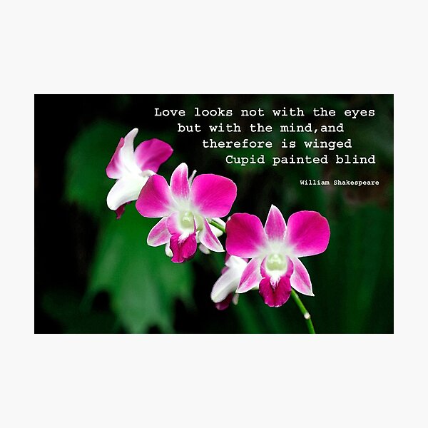 Orchids in Watercolour Quotation Photographic Print