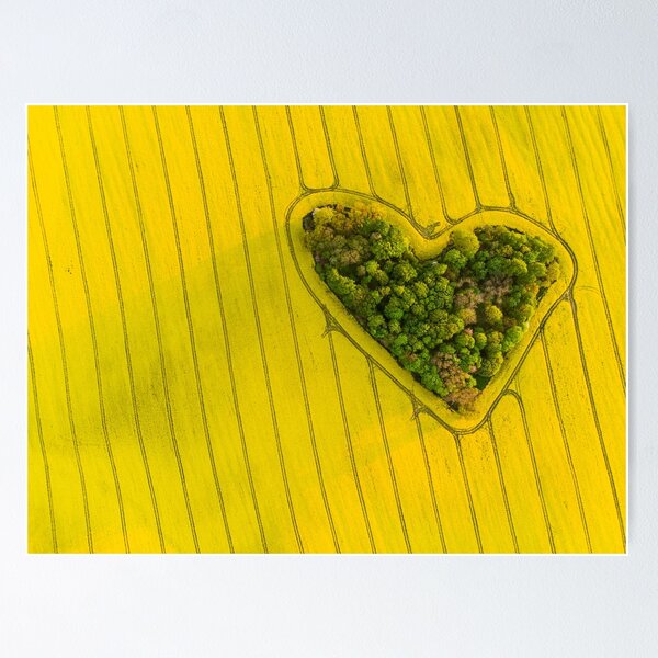 Item preview, Copia del corazón de una naturaleza. designed and sold by Lukasz Szczepanski.