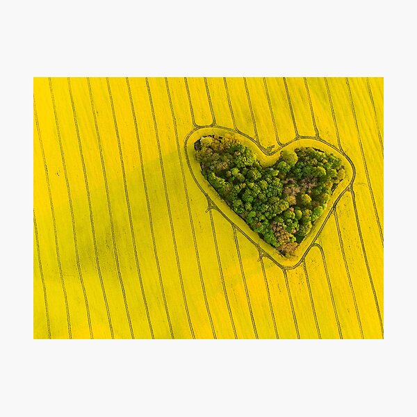 Item preview, Copia del corazón de una naturaleza. designed and sold by Lukasz Szczepanski.