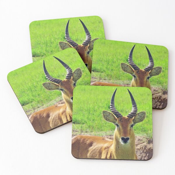 Item preview, Maasai Mara - Tom's Antelope designed and sold by ellenhenry.