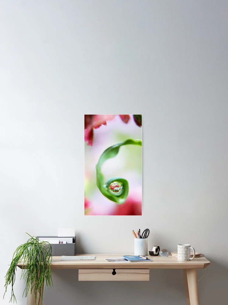 Thumbnail 2 of 3, Poster, Spring Pearls designed and sold by Stephanie Hillson.