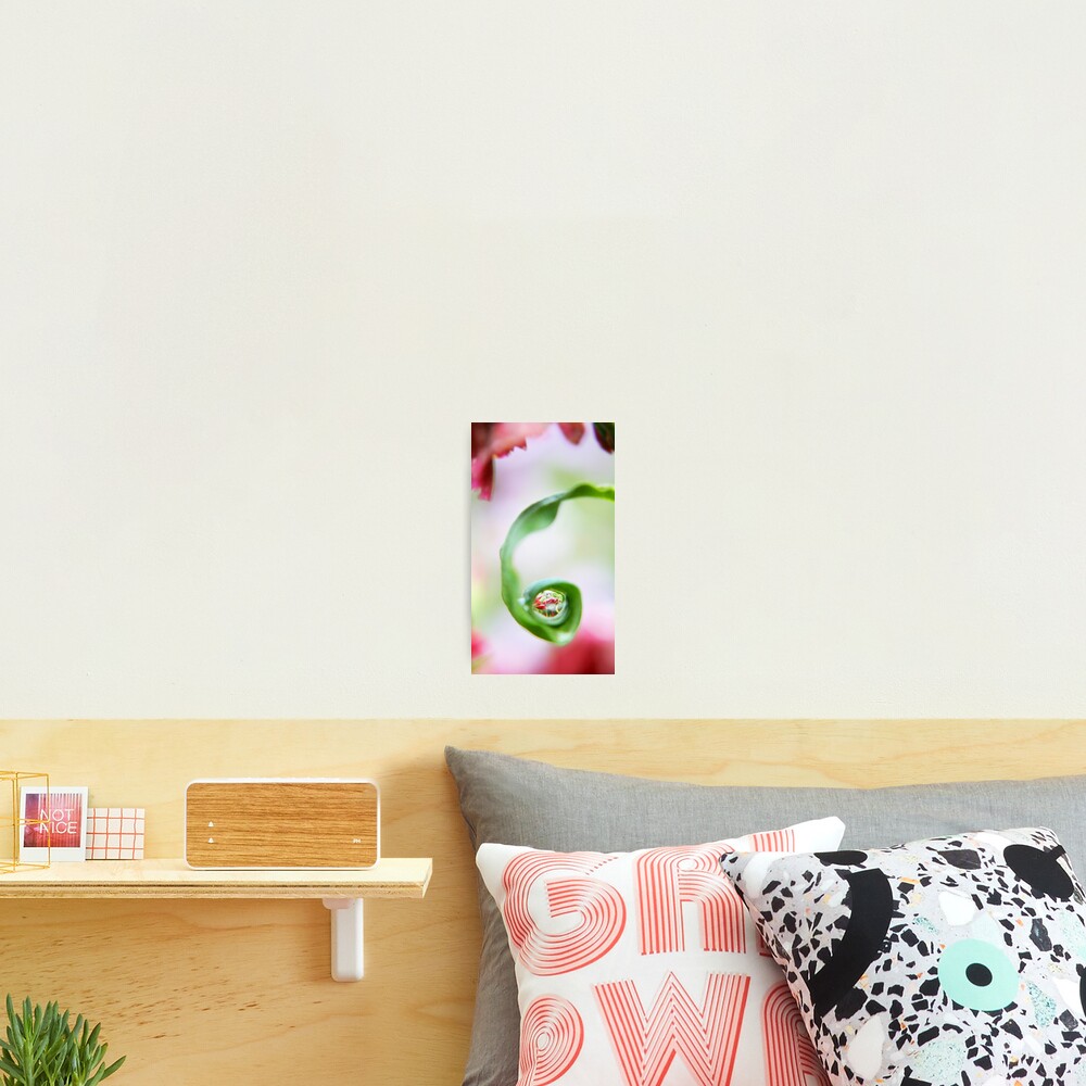 Item preview, Photographic Print designed and sold by eseffpe.