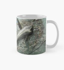 Cartorhynchus lenticarpus Classic Mug