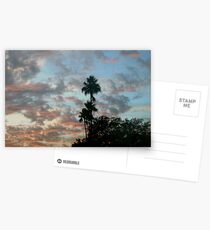 High palms Postcards