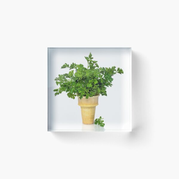 Item preview, Parsley Ice Cream Cone designed and sold by Maria Dryfhout.